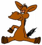 donkey